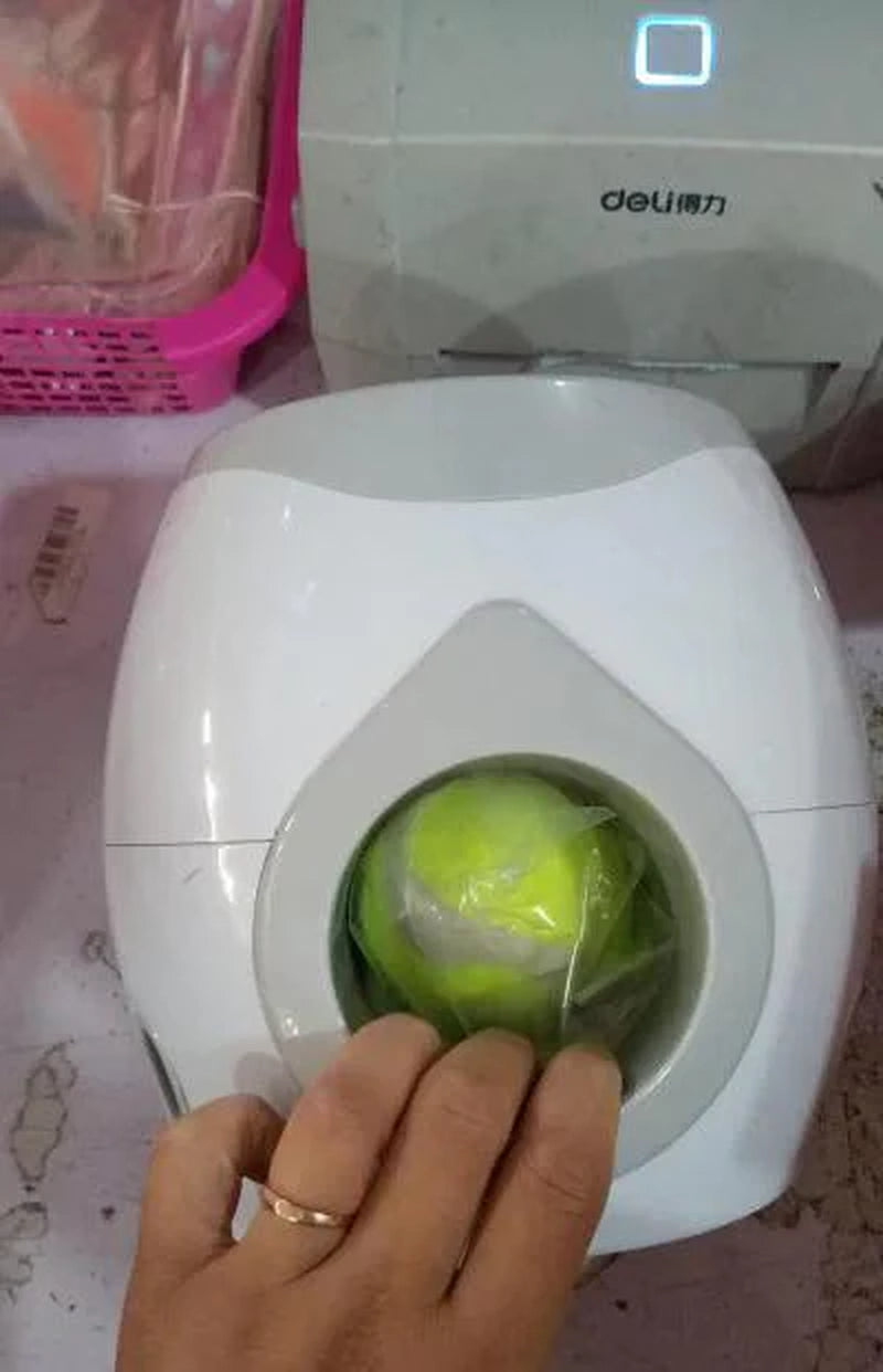 Automated Pet Feeder with Integrated Tennis Ball Launcher