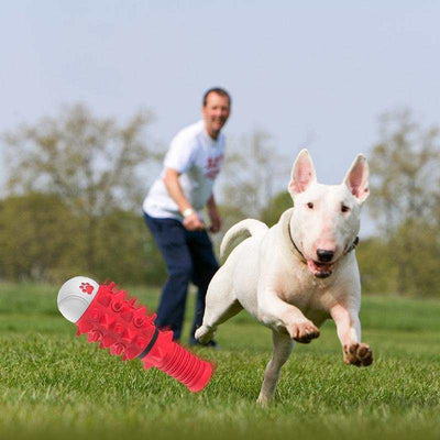 Dog playing with an interactive red rubber chew toy outdoors.