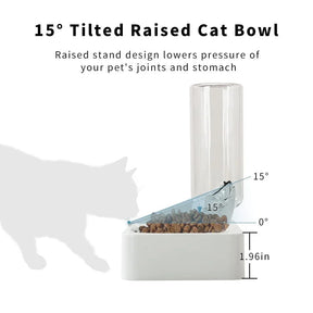 Tilted Cat Food Bowl with Feeding Mat for Food and Water, Food Feeding Dishes for Raised Cats and Puppies