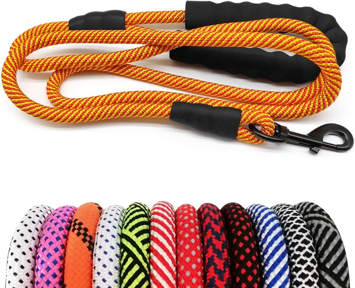 Heavy-Duty Nylon Dog Leash with Soft Padded Handle - Available in Multiple Lengths for Large, Medium, and Small Dogs