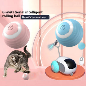 Interactive Automatic Rolling Ball