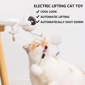 Electronic Motion Cat Teaser Toy