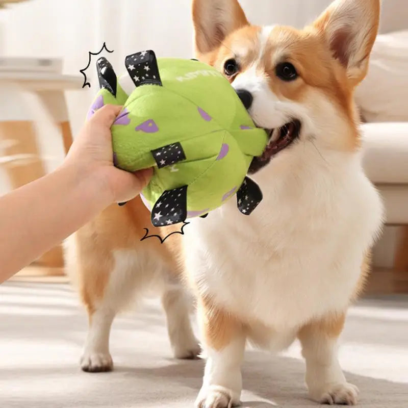 Dog Toy Plush Football Interactive Dog Toy Ball Built-in Bell Bite-Resistant Dog Training Special Ball Pet Ball Supplies