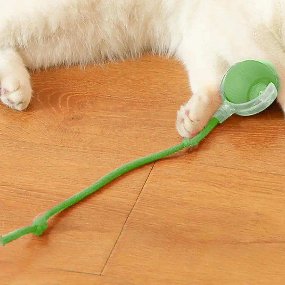 Automatic Rolling Cat Toy