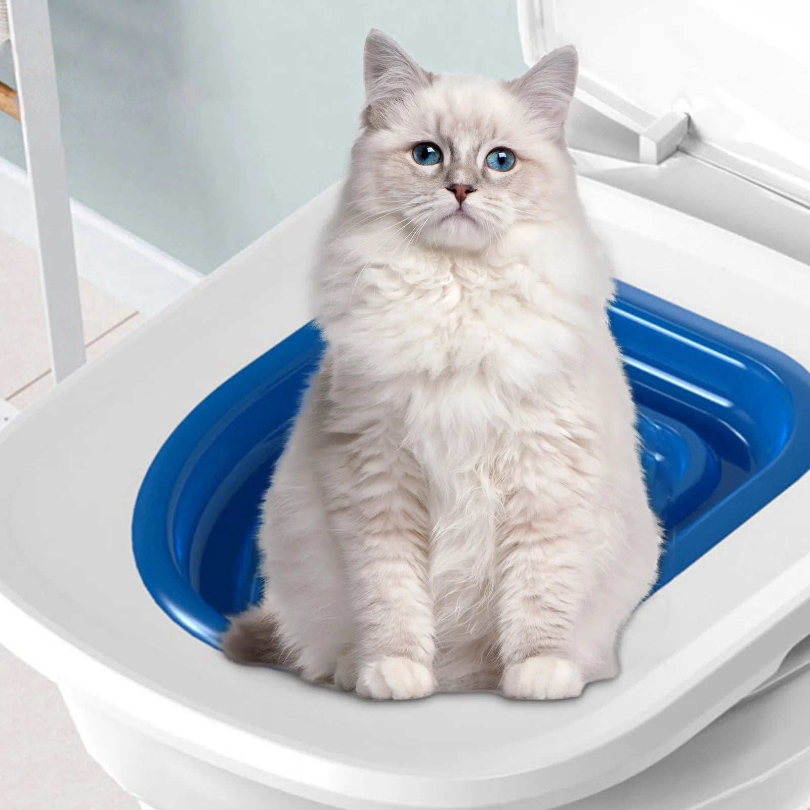 Reusable Cat Toilet Trainer Cat Training Product Plastic Training Set Litter Box Cat Litter Mat Toilet Pet Cleaning