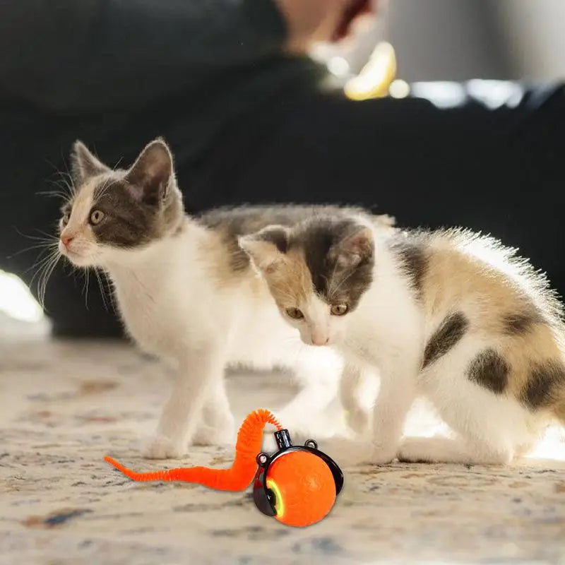 Automatic Rolling Cat Toy