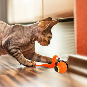 Automatic Rolling Cat Toy