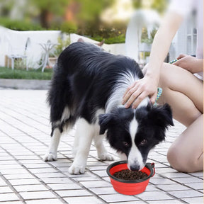 Collapsible Silicone Pet Bowl