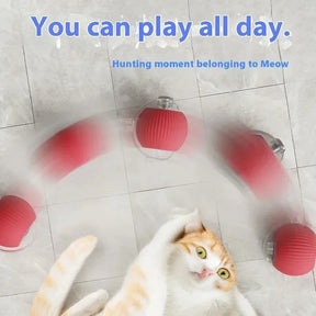 Pet Interactive Cat Toy Ball Electric Rolling Ball Toy Cat Kitten Pet Automatic Teaser USB Rechargeable Training Toy Ball