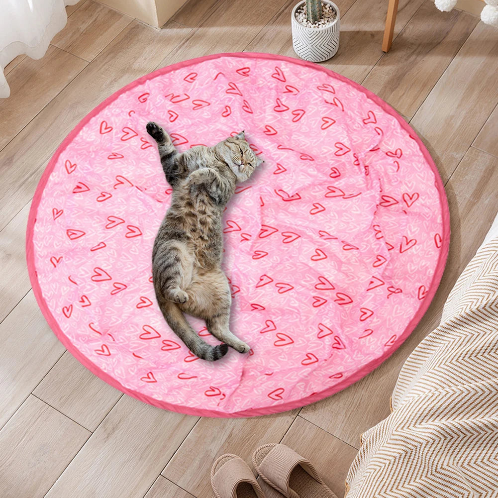 2-in-1 Interactive Cat Toy