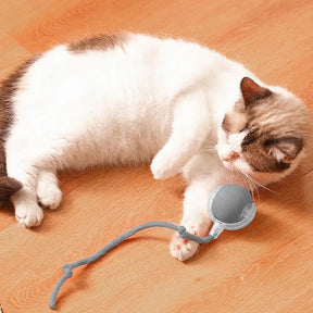 Automatic Rolling Cat Toy