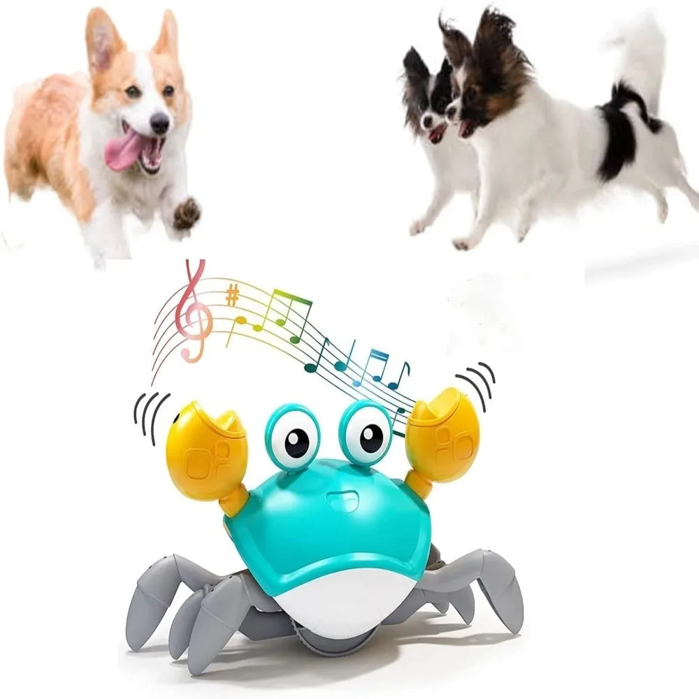 Interactive dancing crab dog toy with musical sounds; entertaining pet toy for dogs and cats.