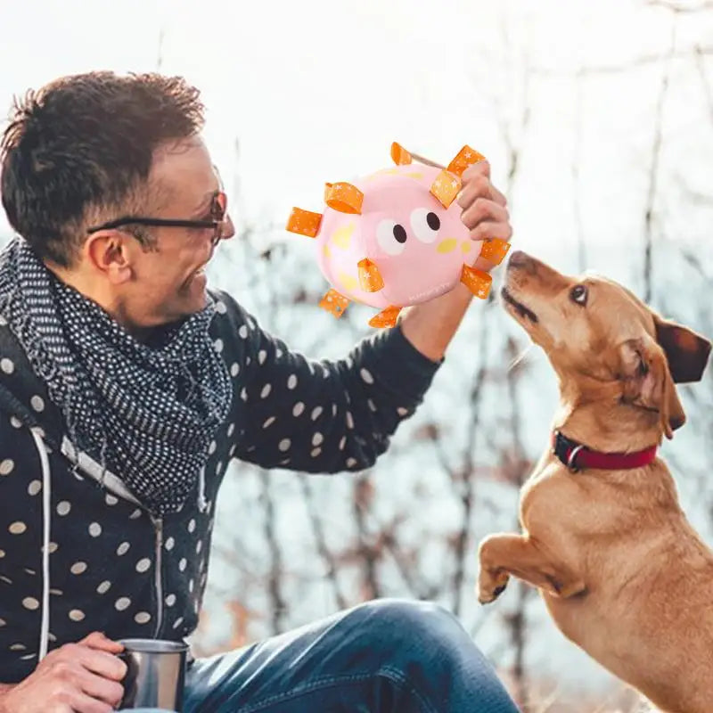 Dog Toy Plush Football Interactive Dog Toy Ball Built-in Bell Bite-Resistant Dog Training Special Ball Pet Ball Supplies