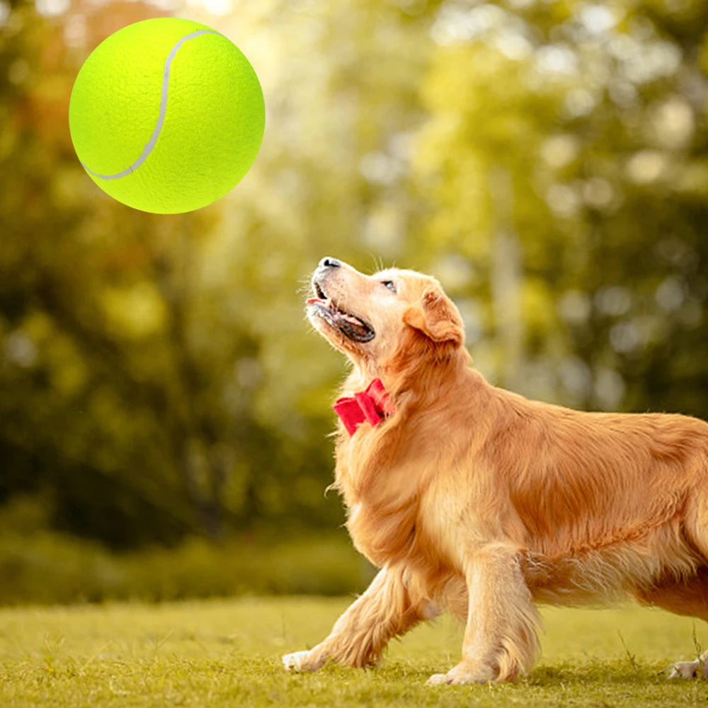 9.5 Inch Oversize Giant Tennis Balls Inflatable Tennis Ball Dog Toy Balls For Signature Children Adult Pets Dogs Cats Fun