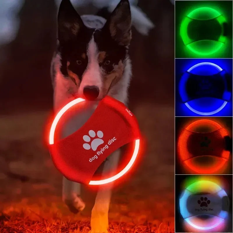 Dog LED Flying Discs Toy