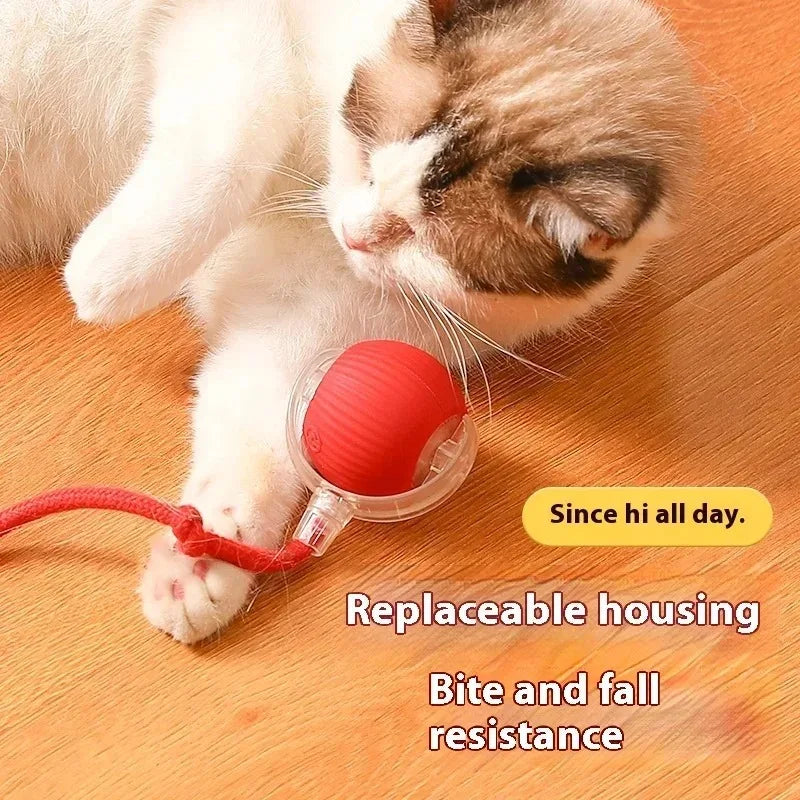 Pet Interactive Cat Toy Ball Electric Rolling Ball Toy Cat Kitten Pet Automatic Teaser USB Rechargeable Training Toy Ball