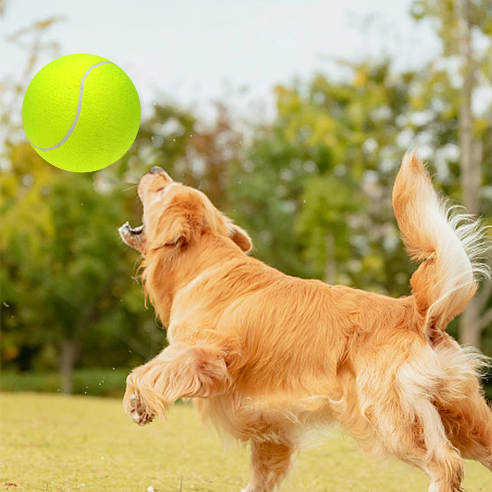 9.5 Inch Oversize Giant Tennis Balls Inflatable Tennis Ball Dog Toy Balls For Signature Children Adult Pets Dogs Cats Fun
