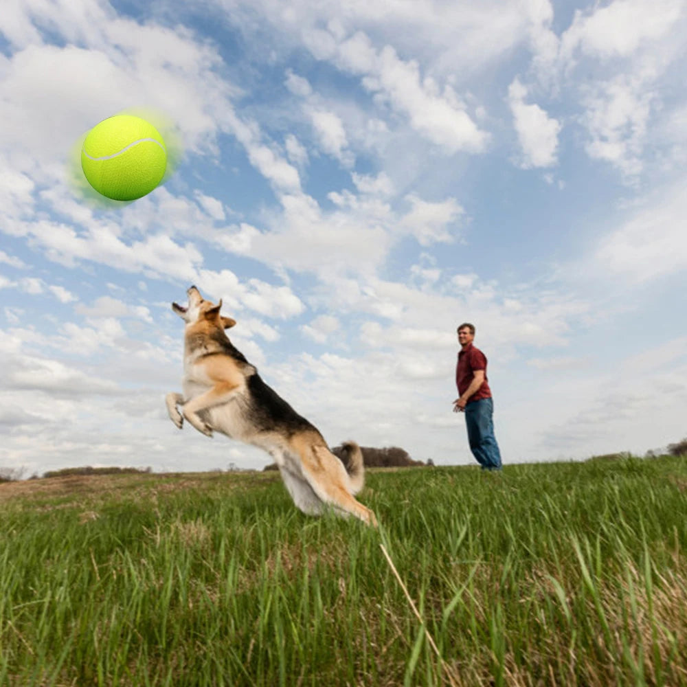 9.5 Inch Oversize Giant Tennis Balls Inflatable Tennis Ball Dog Toy Balls For Signature Children Adult Pets Dogs Cats Fun