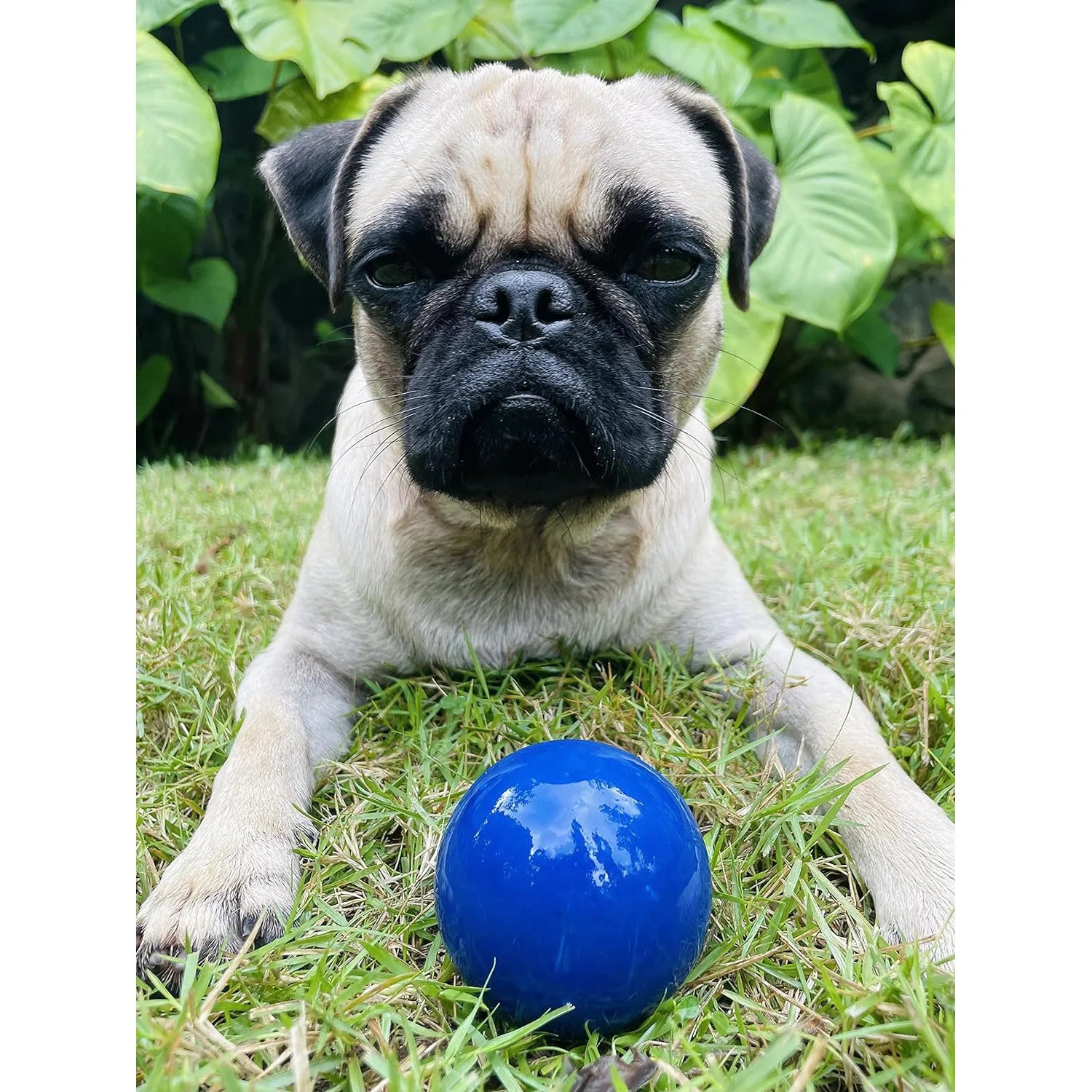 SuperChewy Tough Dog Ball Toy Strong Natural Rubber Great Fetch Toy Durable Chew Toy for Aggressive Chewers Large Breed Tested