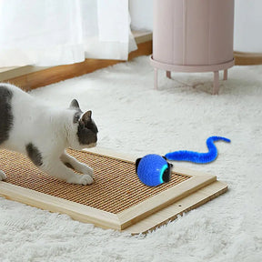 Automatic Rolling Cat Toy