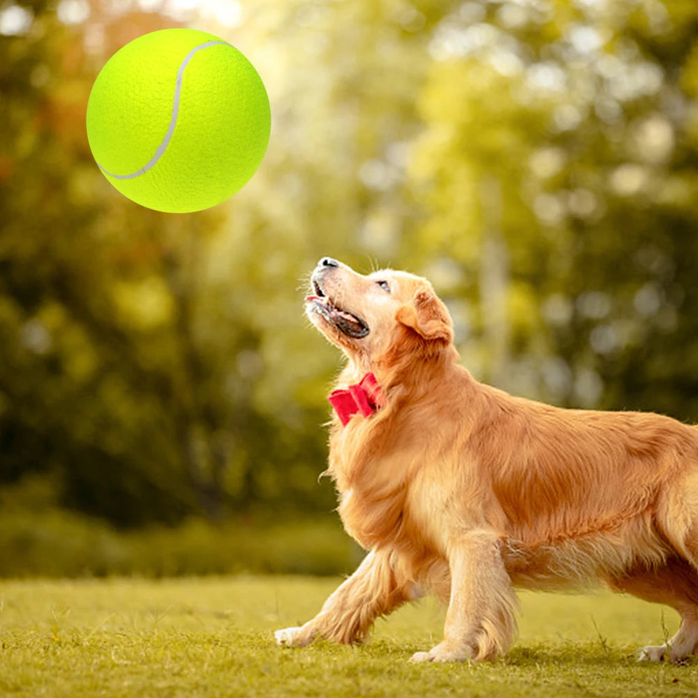 9.5 Inch Oversize Giant Tennis Balls Inflatable Tennis Ball Dog Toy Balls For Signature Children Adult Pets Dogs Cats Fun