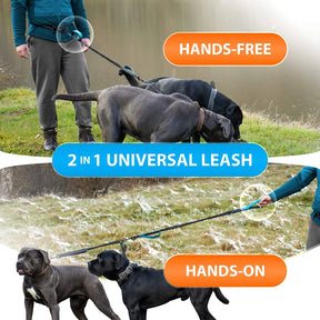 Hands-Free Double Dog Leash