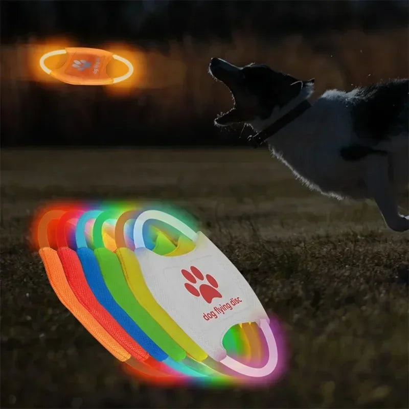 Dog LED Flying Discs Toy