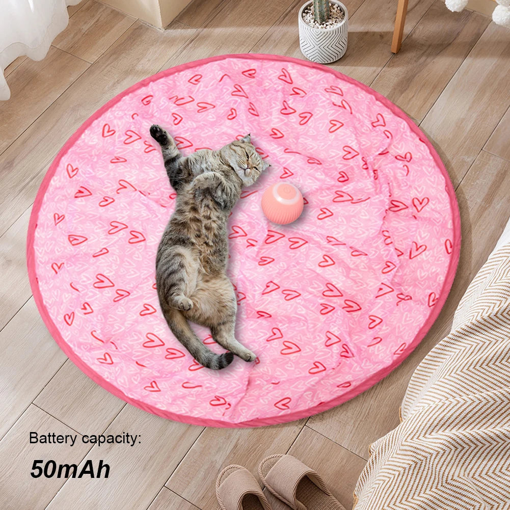 Interactive 2-in-1 Cat Toy