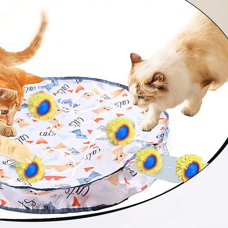 Interactive Cat Hunting Toy