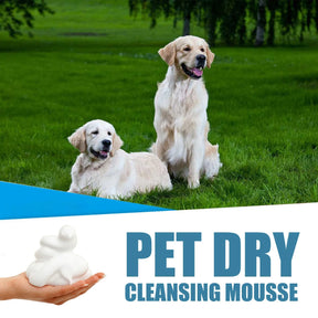 Pet Dry Shampoo Foam Waterless Cleansing For Puppies Odor Eliminator 60ml Dog Show Accessories High Quality Fast Shipping