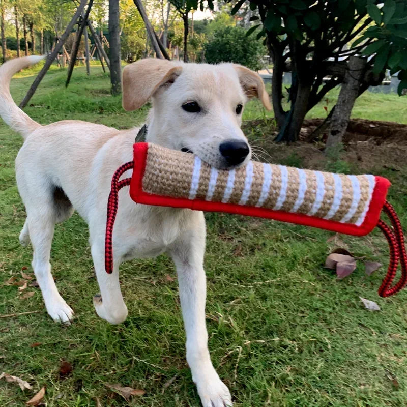 Dog Biting Pillow Tug Stick