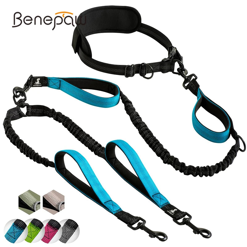 Hands-Free Double Dog Leash