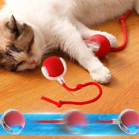 Pet Interactive Cat Toy Ball Electric Rolling Ball Toy Cat Kitten Pet Automatic Teaser USB Rechargeable Training Toy Ball