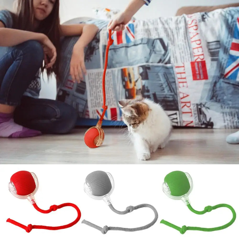 Automatic Rolling Cat Toy