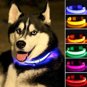 LED Dog Anti-Lost Glowing Collar