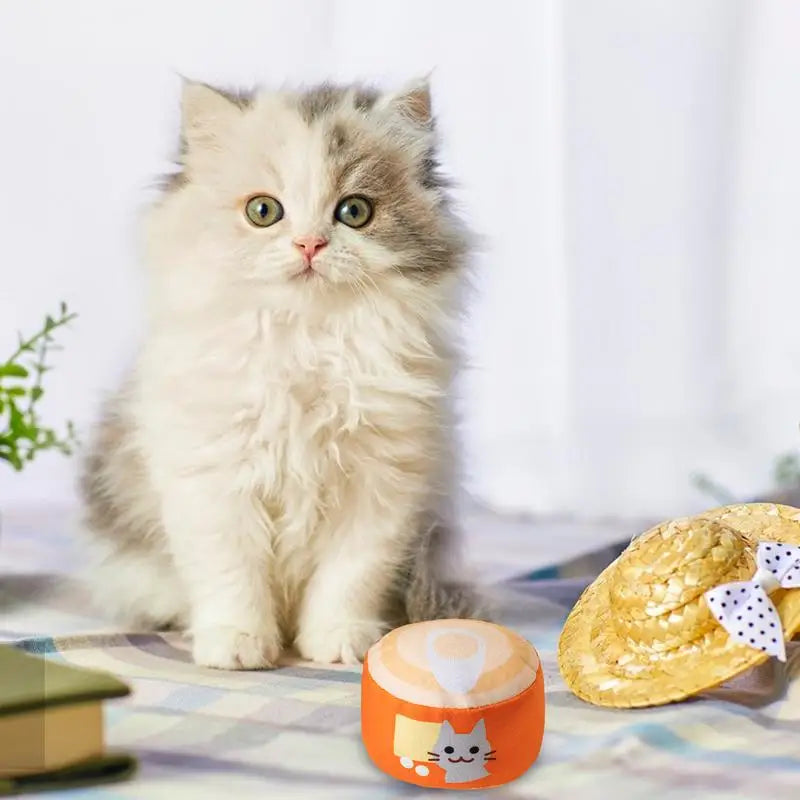 Catnip-Filled Can-Shaped Toy