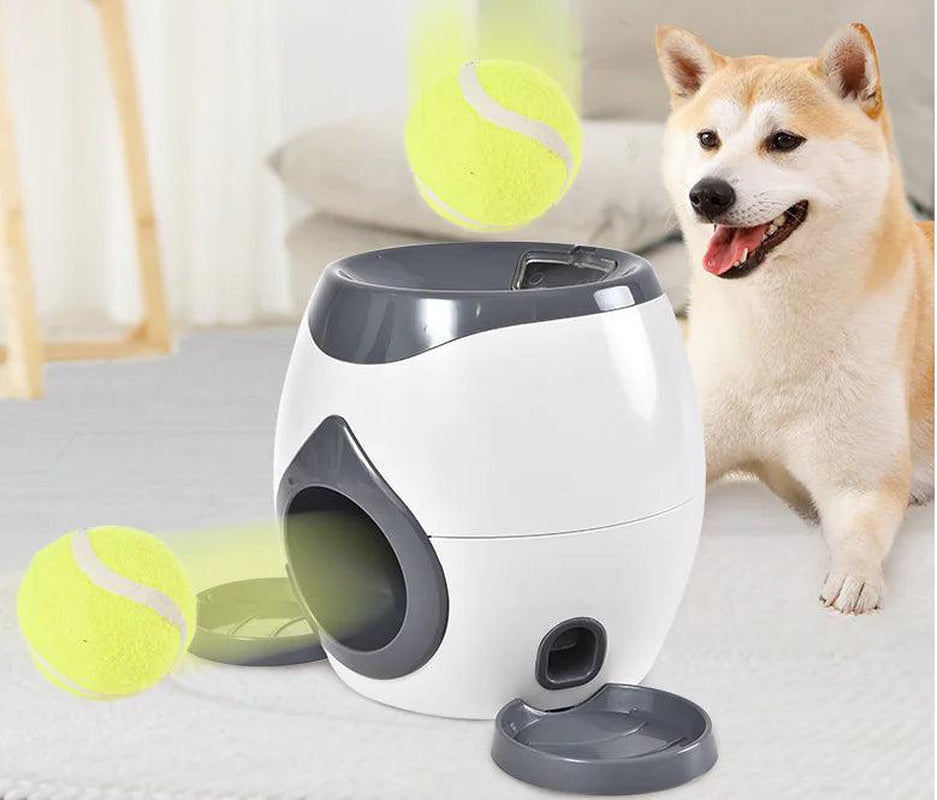 Automated Pet Feeder with Integrated Tennis Ball Launcher