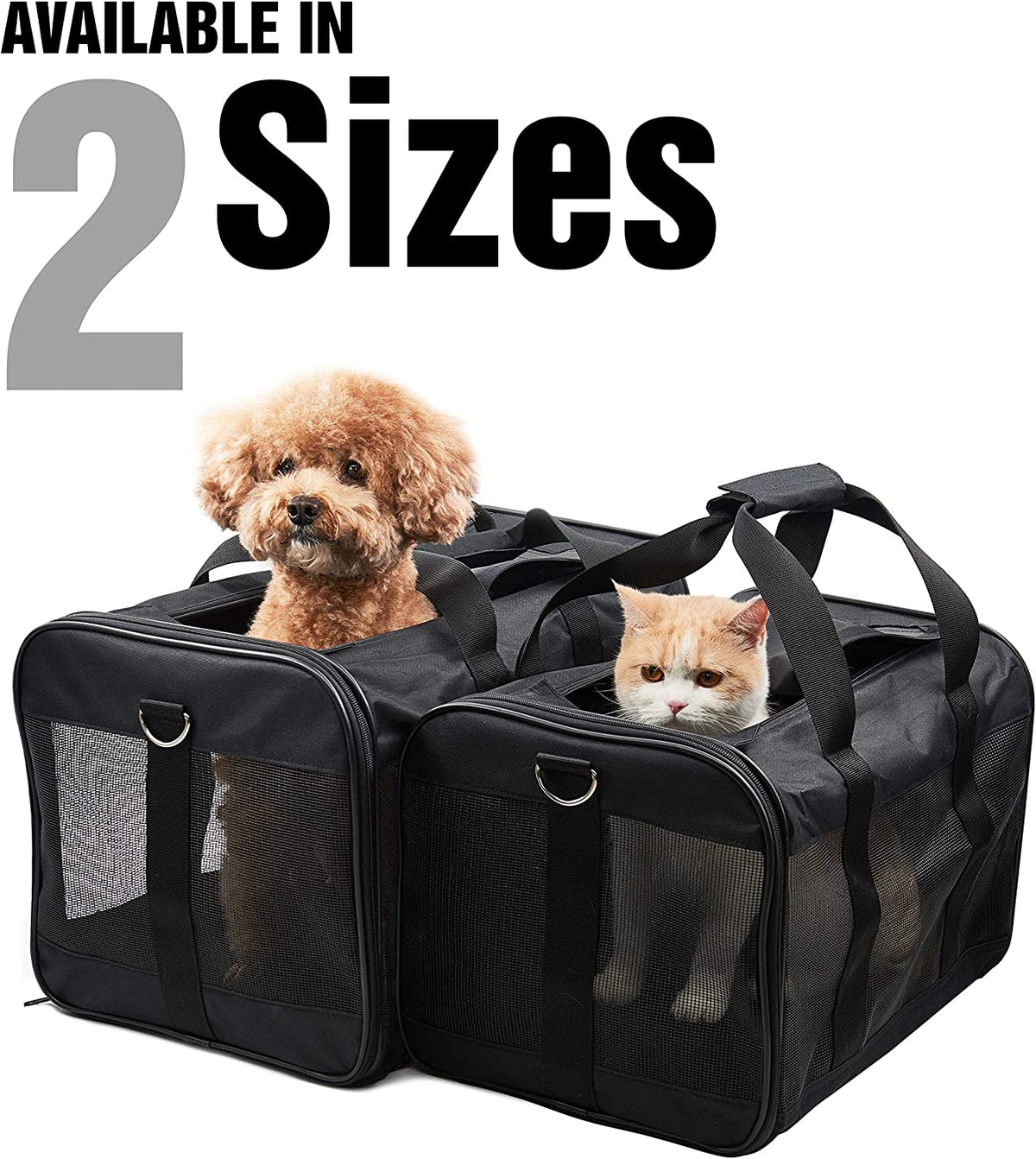 Soft-Sided Pet Travel Carrier for Cats and Small Dogs, Airline Approved, Collapsible and Durable, 17 lbs Max Capacity (Medium)