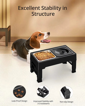 Elevated Dog Bowls for Large Dogs