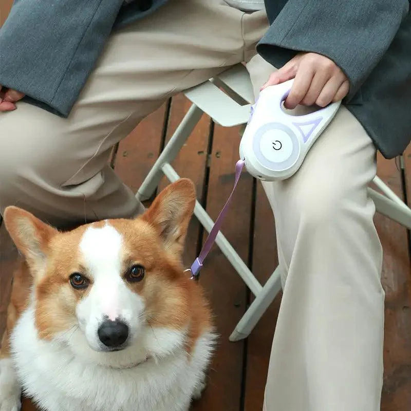 LED Illuminated Dog Leash for Enhanced Nighttime Safety