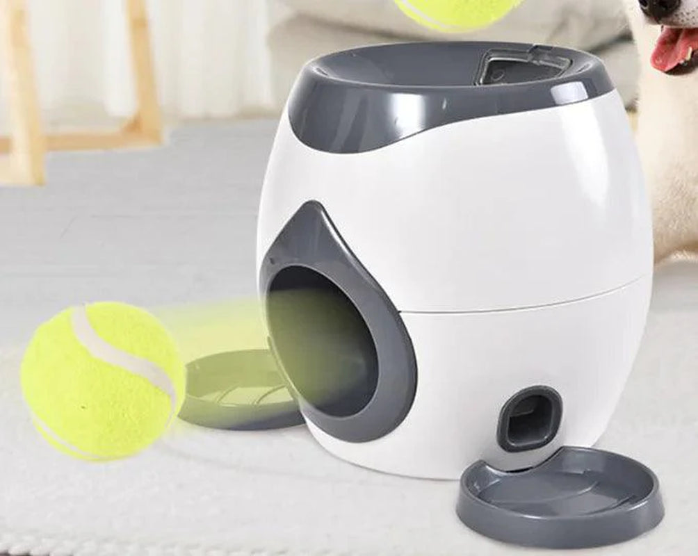 Automated Pet Feeder with Integrated Tennis Ball Launcher